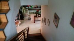 Tan Sim Boh Road (D11), Semi-Detached #275264811